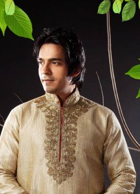 Fawn embroidered art silk kurta-pajama 2