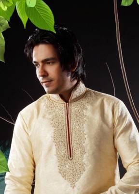 Fawn embroidered art silk kurta-pajama 2