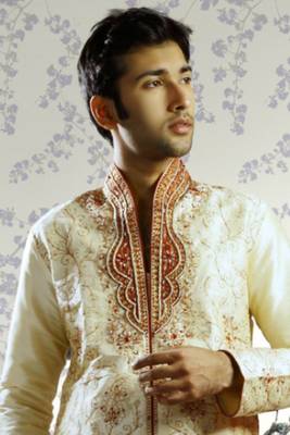 Fawn embroidered art silk sherwani 2