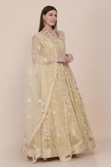 Heavy And Eye Catching Embroidery Work Chiku Colour Anarkali Suits For Trendy Girls
