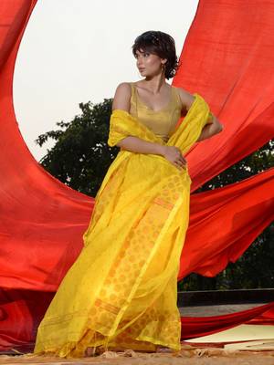 Yellow Cotton Blend Handwoven Saree With Geometric Motifs And Zari Stripes 2