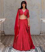 Cherry Red Silk Printed And Embroidered Lehenga Set