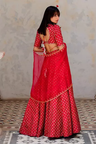Cherry Red Silk Printed And Embroidered Lehenga Set
