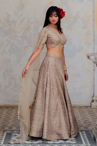 Warm Grey Silk Printed And Embroidered Lehenga Set