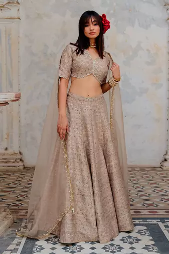 Warm Grey Silk Printed And Embroidered Lehenga Set