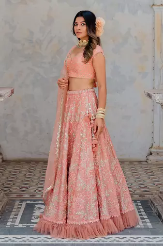 Blush Satin Organza Embroidered Lehenga Set