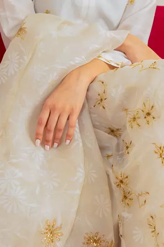Ecru Chanderi Panel Suit