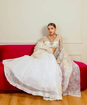 Ecru Burnt Organza Lehenga Set 3