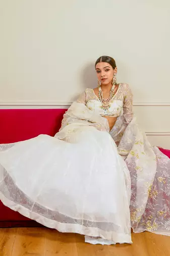 Ecru Burnt Organza Lehenga Set
