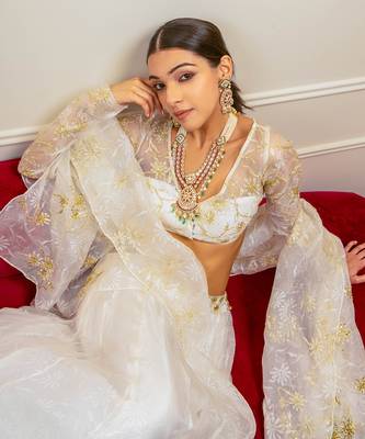 Ecru Burnt Organza Lehenga Set 4