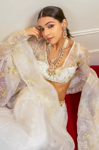 Ecru Burnt Organza Lehenga Set