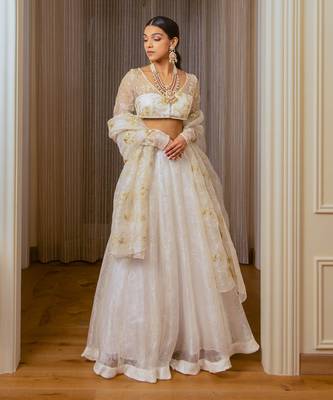 Ecru Burnt Organza Lehenga Set 1