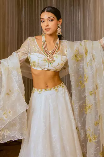 Ecru Burnt Organza Lehenga Set