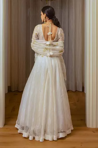 Ecru Burnt Organza Lehenga Set