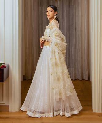 Ecru Burnt Organza Lehenga Set 7