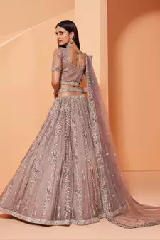 Maahi Styles Mauve Net Lehenga Choli Set