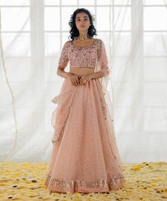 Powder Pink Embroidered Organza Lehenga Set 1