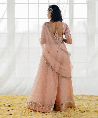 Powder Pink Embroidered Organza Lehenga Set 2