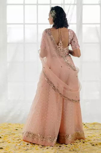 Powder Pink Embroidered Organza Lehenga Set