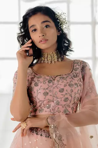 Powder Pink Embroidered Organza Lehenga Set