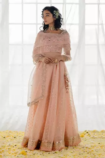 Powder Pink Embroidered Organza Lehenga Set