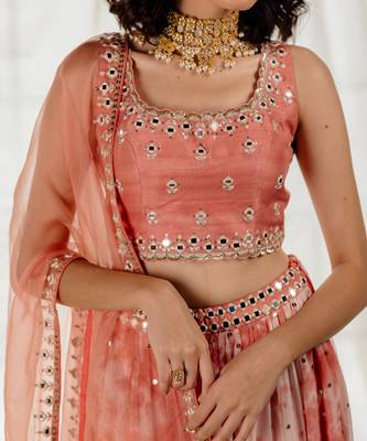 Pink Silk & Marble Dyed  Georgette Mirror Work Lehenga Set 4