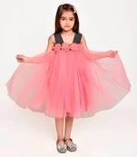 Jelly Jones Flower embelished Net Partywear Dress-Pink