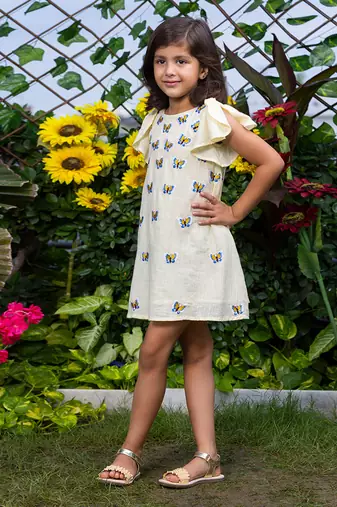 Blue Butterflies Embroidery Dress