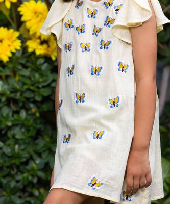 Blue Butterflies Embroidery Dress 3