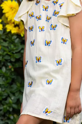 Blue Butterflies Embroidery Dress
