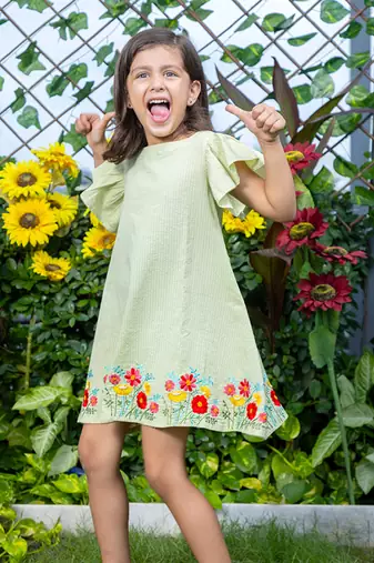 Mini Garden Embroidery Dress