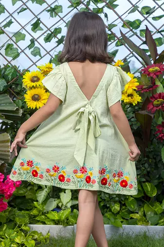 Mini Garden Embroidery Dress