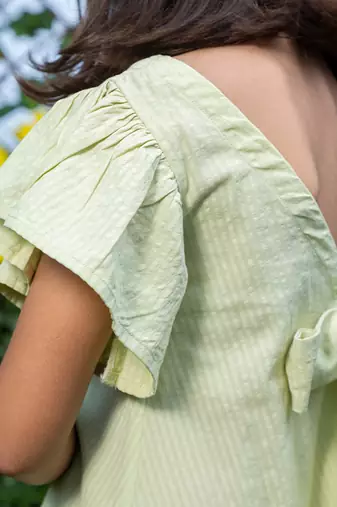 Mini Garden Embroidery Dress