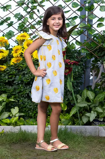 Peacock Motif Embroidery Short Dress