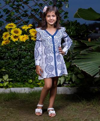 Shifali Blue Floral Embroidery Dress 2