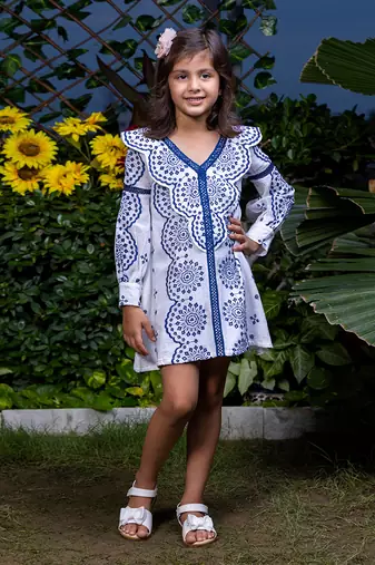 Shifali Blue Floral Embroidery Dress