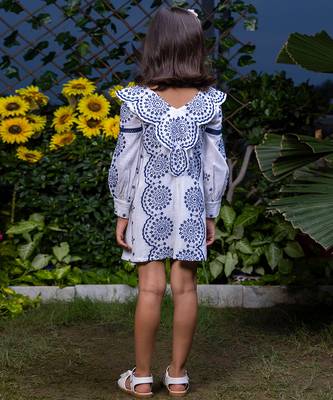 Shifali Blue Floral Embroidery Dress 4