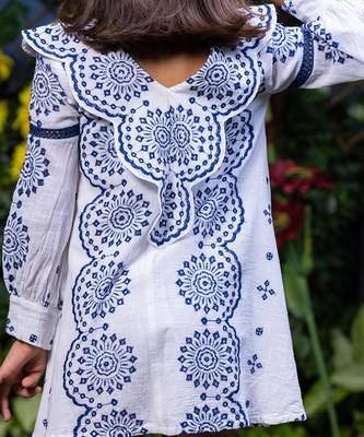 Shifali Blue Floral Embroidery Dress 6