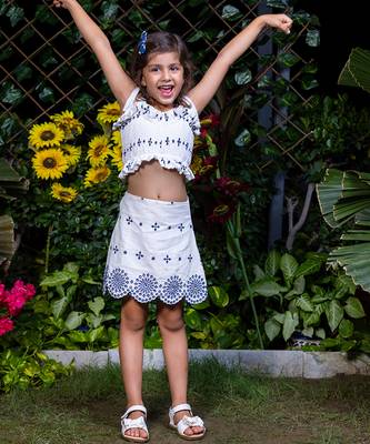 Shifali Blue Embroidery Crop Top and Skirt Co-ord Set 1
