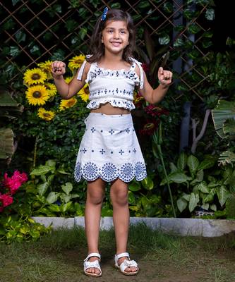 Shifali Blue Embroidery Crop Top and Skirt Co-ord Set 2