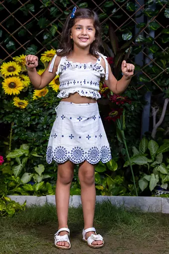 Shifali Blue Embroidery Crop Top and Skirt Co-ord Set