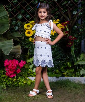 Shifali Blue Embroidery Crop Top and Skirt Co-ord Set 3