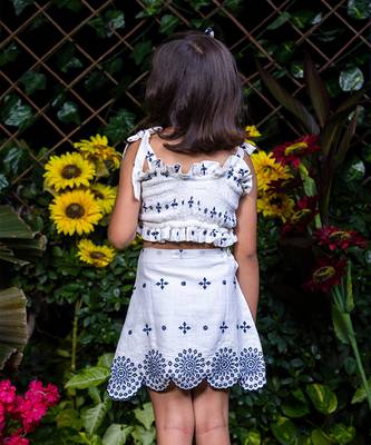 Shifali Blue Embroidery Crop Top and Skirt Co-ord Set 4