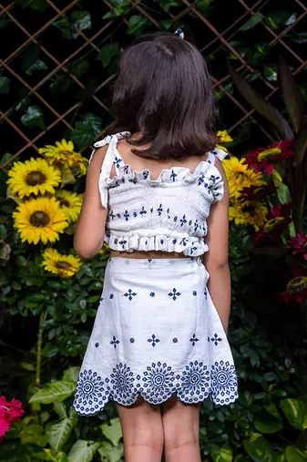 Shifali Blue Embroidery Crop Top and Skirt Co-ord Set