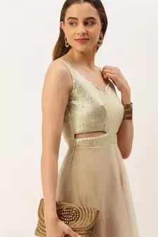 Ethnovog Ready To Wear Silver Sequins Embroidered N Light Beige Net Gown