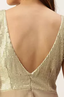 Ethnovog Ready To Wear Silver Sequins Embroidered N Light Beige Net Gown