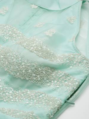 Ethnovog Ready To Wear Light Sea Green Net Embroidered Gown 4