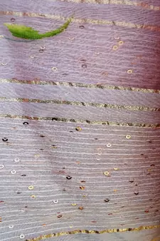 Womens Organza hand painted Light Pink dupatta with gota & sequins work