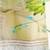 Organza hand painted Light green women duppatta with gota & sequins work