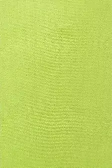 Parrot Green Women's Cotton Plain Stitched Inskirt Saree Petticoats